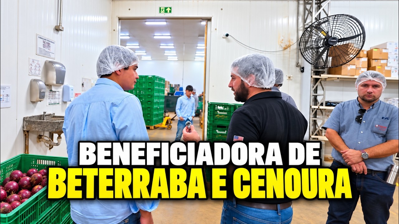 Conhecemos a estrutura de beneficiamento do grupo Maeda