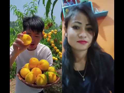Fruits garden🍊🍊 #shortsviral #fruitcutting #fruits