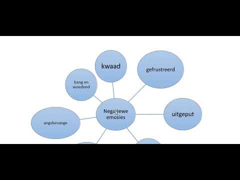 LV 11   15 Mei Graad 4