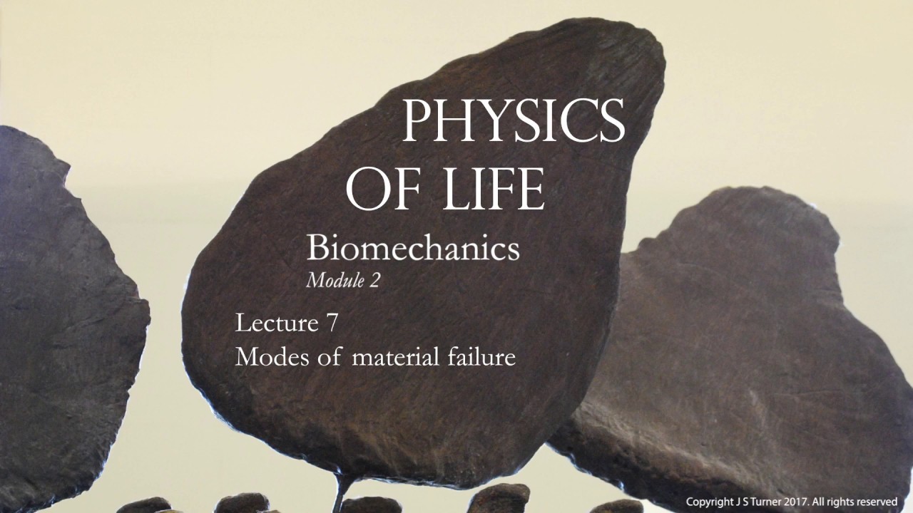 Lecture 7. Introduction to biological materials