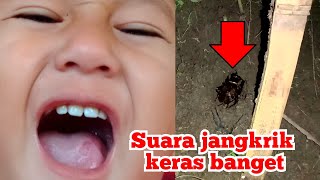 Download lagu SUARA JANGKRIK KERAS BANGET GANGSIR/KASIR mp3