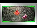 Serov Vacation Love Karaoke Aleksandr Russian Music Artist BSVIEWFROMTHEOTHERSIDE