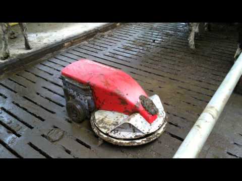 Lely discovery first round