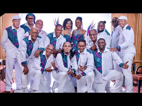 Squatteurs - Sa dan sa (live BLUE STARS 2020)