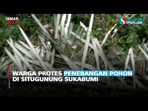 Warga Protes Penebangan Pohon di Situgunung Sukabumi