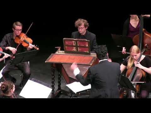 Johann Wenzel Stamitz Symphony in D major  (1st . movement)