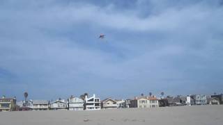 Flying Kites While Charlie Hope Sings About Trains!