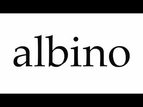 How to Pronounce albino