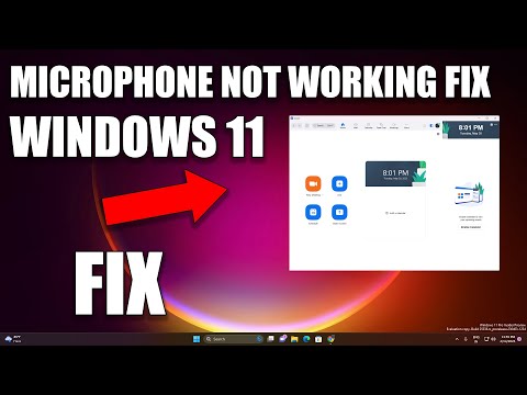 how to fix microphone issue in windows 11