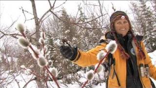 preview picture of video 'Randonnées en raquettes à Pralognan-la-Vanoise'