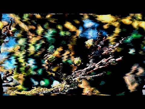 Dub Ninja XII: Hypnotic / Outsider Dub Techno Mix