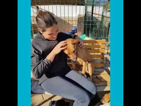 WhatsApp Video 2019 11 18 at 10 27 26