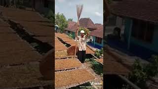 Download lagu Video Pawang Hujan Lucu Kocak bikin Ngakak 🤣 mp3