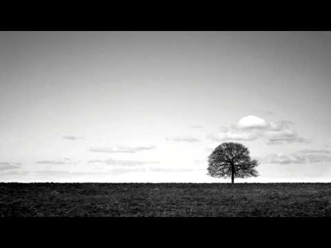 Steadily - Means
