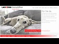 LAGODKA Immobilien You Are Focus