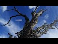 The Walking Dead Season 11 Title Sequence Version 2 Fan Made