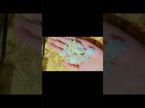 #love #youtubeshorts #highlights #everyone