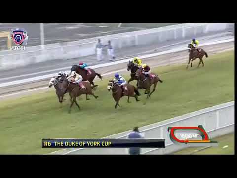 6e Course: Frosted Gold vaut son pesant d’or!