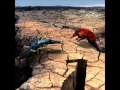 Phideaux - Number Seven (Full Album) 