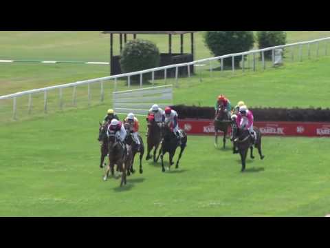 KV, 23. 7. 2017, 1. dostih - Cena MYDLÁŘKY BENEŠOV