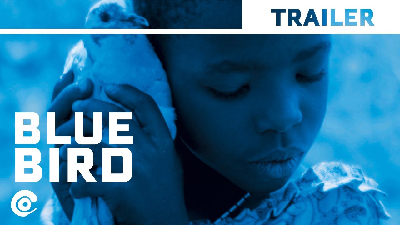 Official International Trailer