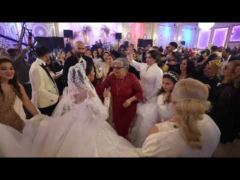 Goce Sax - Ludnica Kolo, Berlin 2024