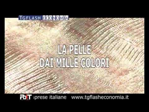 26-03-2011   Tg Flash Economia - Protagonisti del Tempo