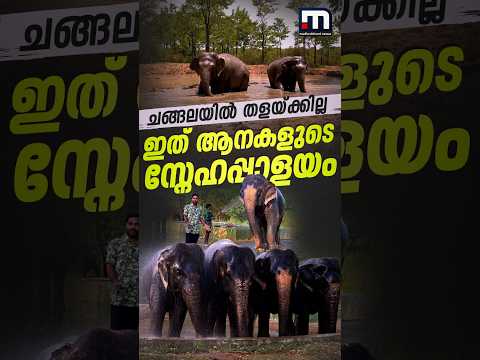 ഇത് ആനകളുടെ സ്നേഹപ്പാളയം... | Elephant Rescue and Rehabilitation Centre | Trichy | M R Palayam