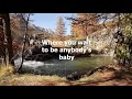 The Wild Side Of Life by Hank Thompson (with lyrics)