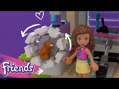 Vidéo LEGO Friends 41340 : La maison de l'amitié