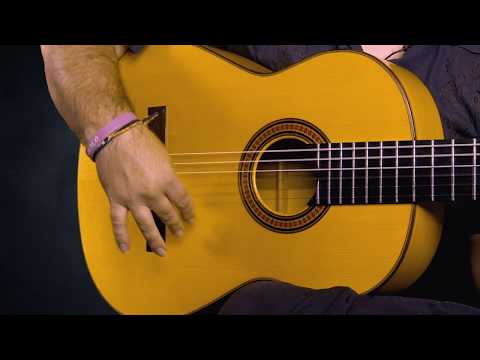 EliteGuitarist.com - Introducing Ricardo Marlow, Flamenco Guitar Lessons for Beginners and Advanced