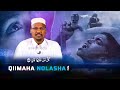 Wax Ka Ogow Qiimaha Nolasha Aduunka Muxaadaro Qiimo Badan Sheekh Mustafe Eegmada