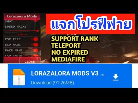 โปรฟีฟาย