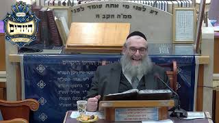 הרב יהושע ויזגן מסכת חולין דף עג עמוד א' המשך (בית הכנסת מוסאיוף) - התמונה מוצגת ישירות מתוך אתר האינטרנט יוטיוב. זכויות היוצרים בתמונה שייכות ליוצרה. קישור קרדיט למקור התוכן נמצא בתוך דף הסרטון