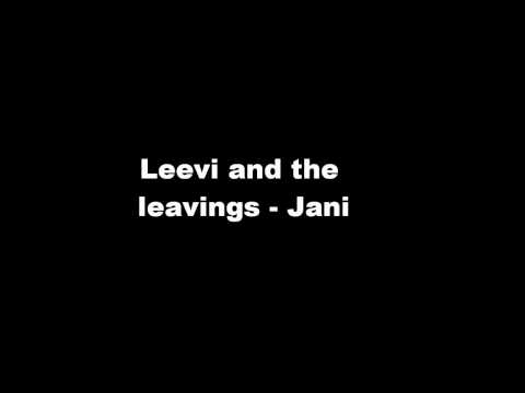 Leevi and the leavings - Jani