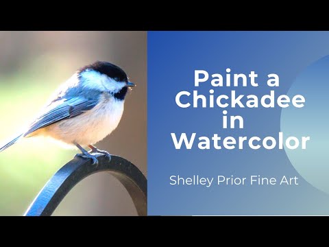 Chickadee in Watercolor