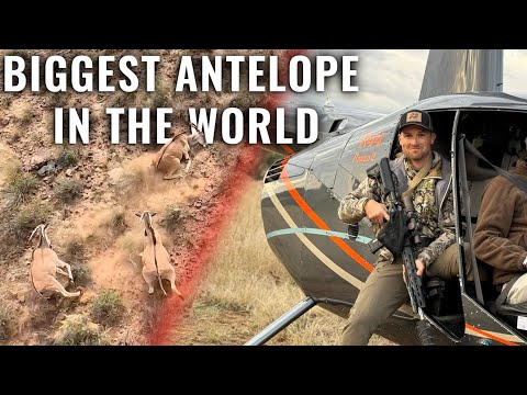 Helicopter Wildlife Managment Hunting - Hunting for Conservation