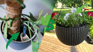 Self-Watering Planters vs Traditional Pots: Which is Better?