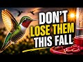 When To Take Down Your Hummingbird Feeder (Most People Get This Backwards)