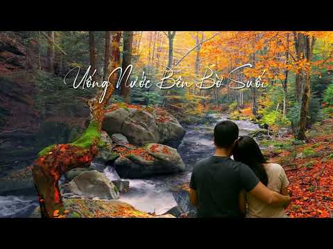 UỐNG NƯỚC BÊN BỜ SUỐI - Tuấn Ngọc & Thái Thảo