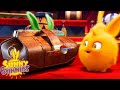 SUNNY BUNNIES - Circus Show | Season 1 | Cartoons for Children