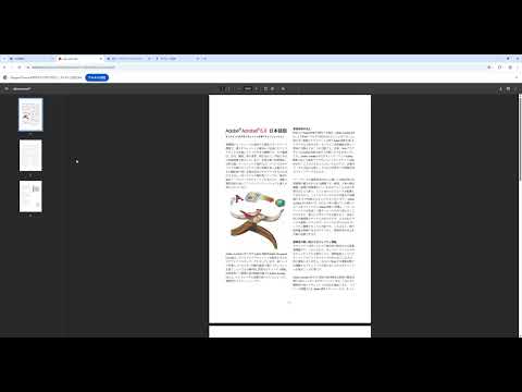 Item video thumbnail