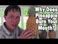 3 Ways to End Pineapple Mouth Burn Forever 