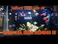 Ikan Hias Imitasi Untuk Aquarium Kecil