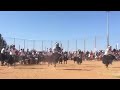 Botswana traditional dance