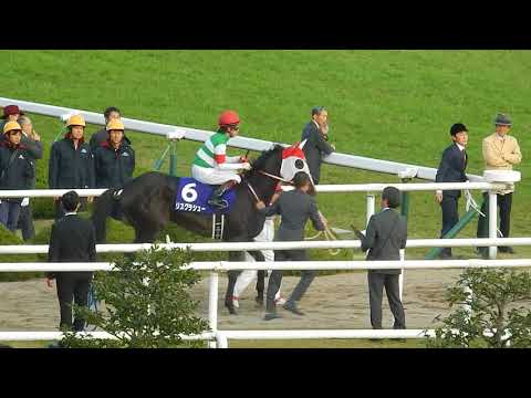 競馬2017 第42回エリザベス女王杯/馬も人も入れ込む本場馬入場(2017.11.12)