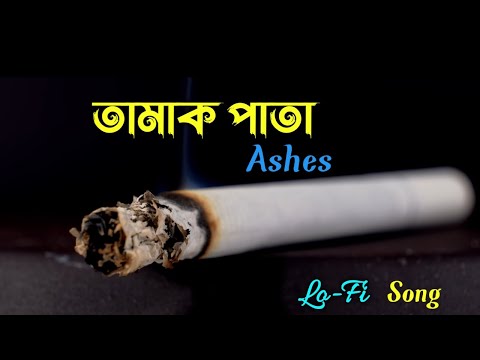 Tamak pata  -(Lofi )-তামাক পাতা / Lofi song /ashes/ Ashes band