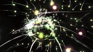 The Light - The Album Leaf