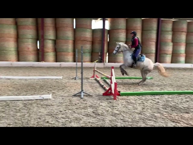 Marquis de l'&eacute;tang