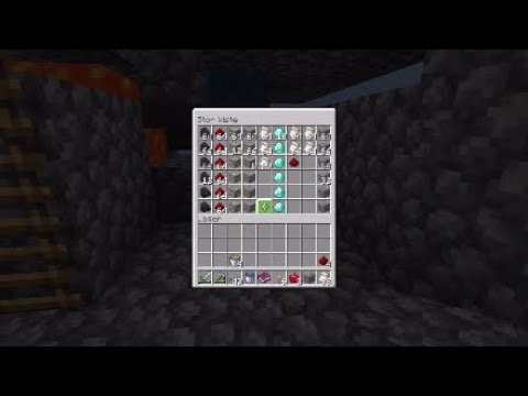 En virkelig god start!|Skyblock Dansk|#1